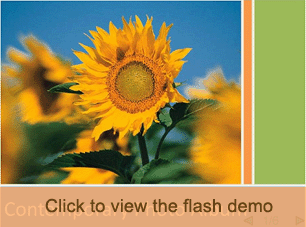 Convert PowerPoint to Flash demo